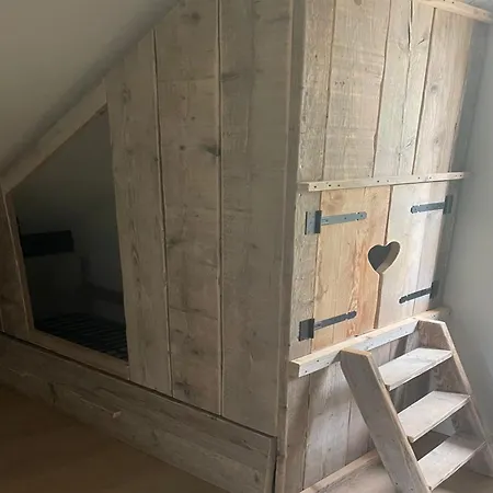 Sunny Family By The Hernen