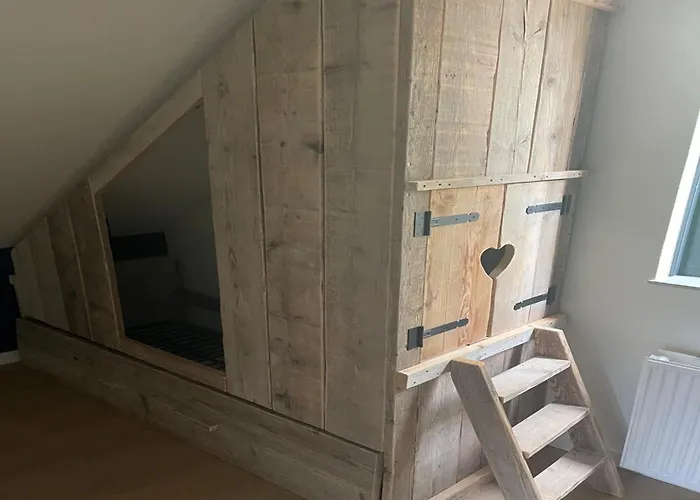 Sunny Family By The Ewijk